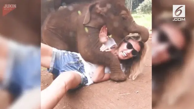 Seekor bayi gajah mencaoba berbaring di atas tubuh turis wanita di Thailand.