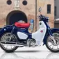 Honda Super Cub C125 (Foto:TopSpeed0