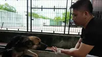 Sadar Telah Menggigit Tangan Majikan, Anjing Ini Menangis
