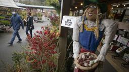 Sebuah orang-orangan sawah ditampilkan dalam Festival Orang-orangan Sawah tahunan jelang perayaan Halloween di Langley, British Columbia, Kanada (19/10/2020). (Xinhua/Liang Sen)