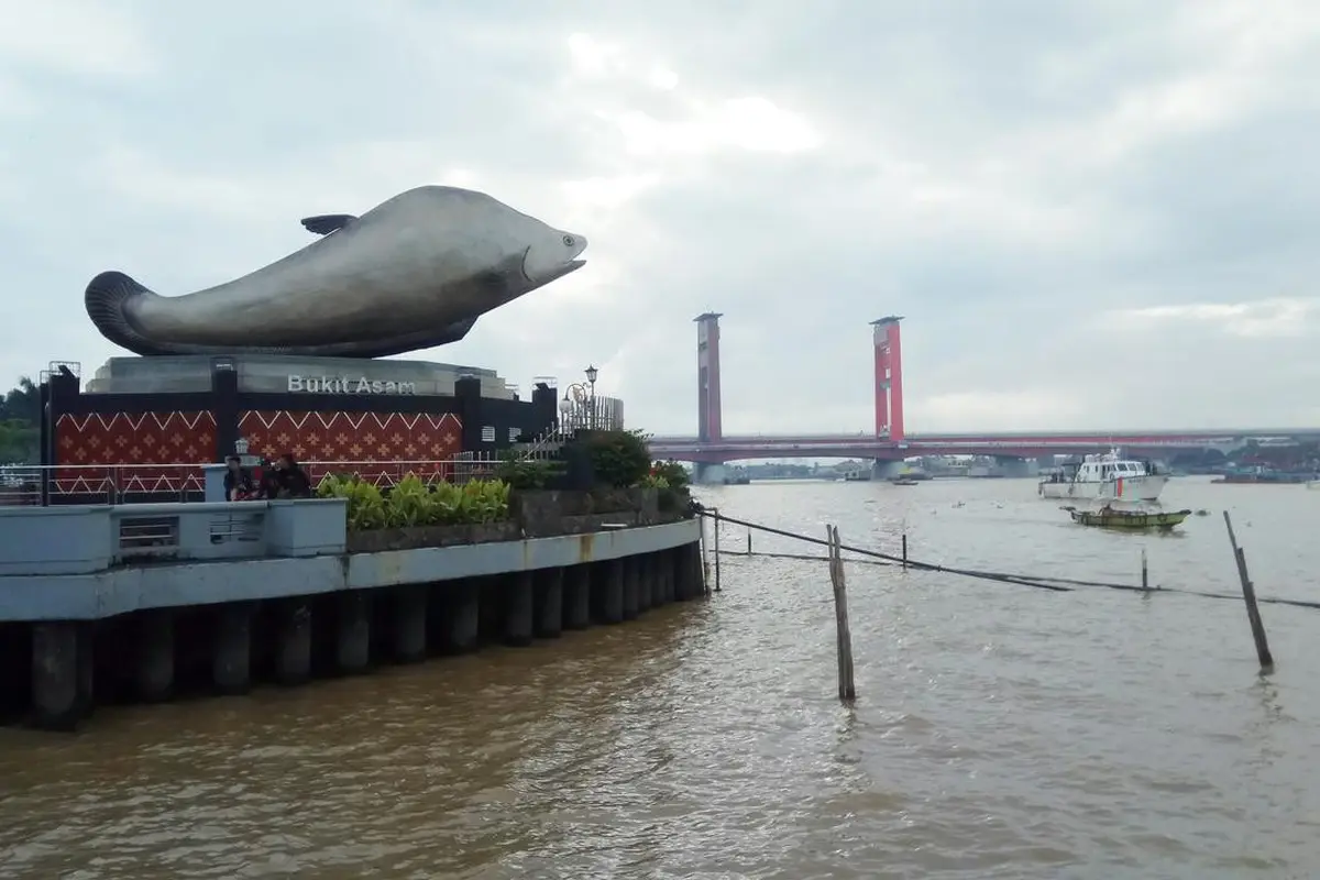 Puluhan Desa Belum Teraliri Listrik di Kawasan Lumbung Energi Sumsel