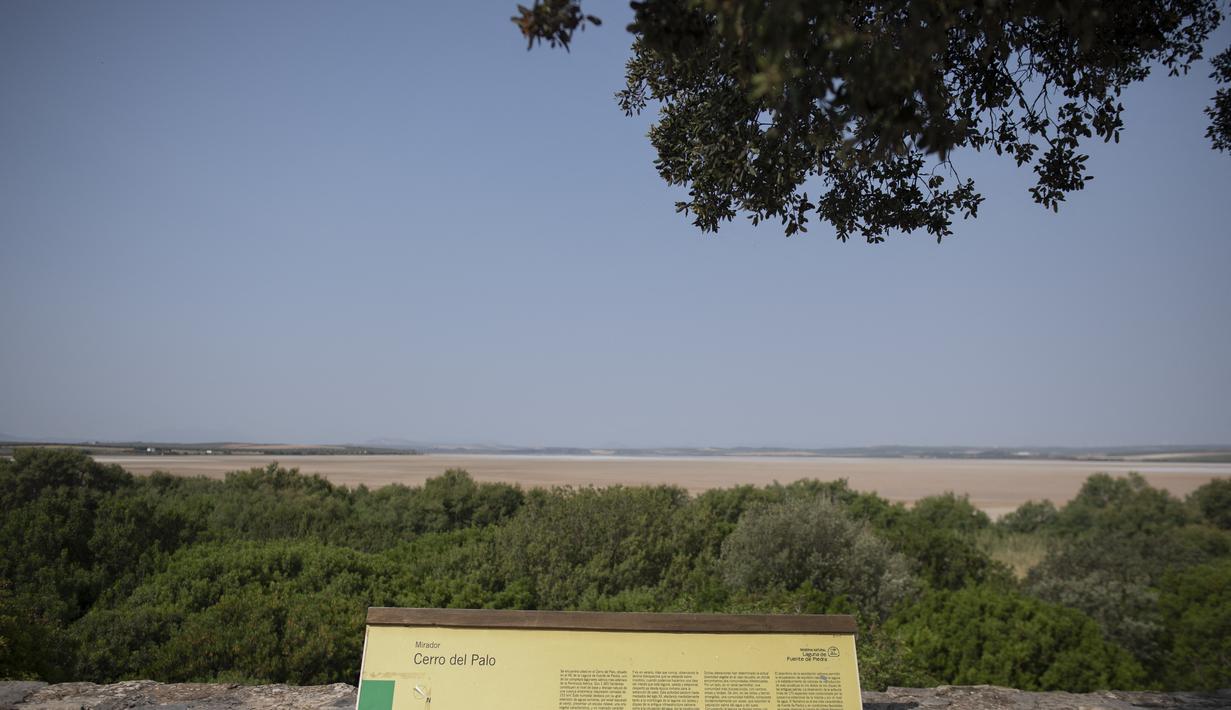 Cagar alam terbesar di Andalusia, Fuente de Piedra, yang biasanya menyambut ribuan pasang flamingo setiap tahun, mengalami kekeringan parah. (AFP/Jorge Geurrero)