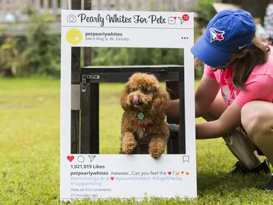 Seorang wanita menempatkan anjing peliharaannya dalam bingkai foto pada acara Party 4 Paws 2020 di Toronto, Kanada, 30 Agustus 2020. Sebuah acara yang cocok dikunjungi keluarga, pameran hewan peliharaan ini menarik ratusan pengunjung bersama anjing peliharaan mereka. (Xinhua/Zou Zheng)