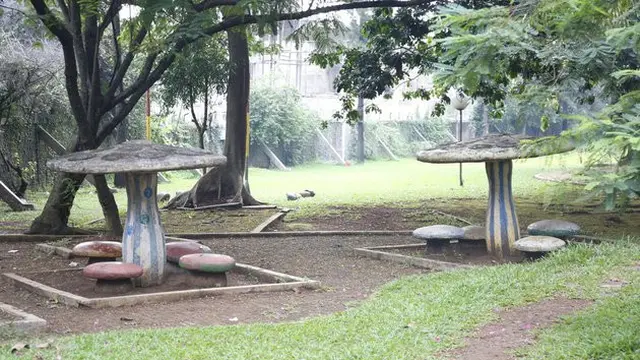 Rumah Siput dan Jamur Tuyul dan Mbak Yul