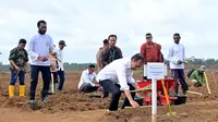 Presiden Joko Widodo (Jokowi) melakukan penanaman tebu perdana di PT Global Papua Abadi, Kampung Sermayam, Distrik Tanah Miring, Kabupaten Merauke, Papua Selatan, Selasa, 23 Juli 2024. (Foto: Muchlis Jr - Biro Pers Sekretariat Presiden)