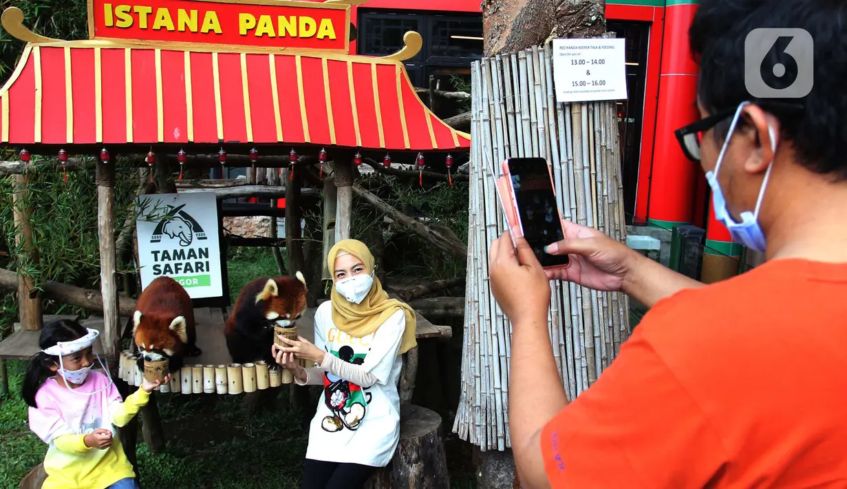 Pengunjung berfoto bersama panda di Istana Panda Taman Safari Indonesia, Cisarua, Kabupaten Bogor, Jawa Barat, Sabtu (26/9/2020). Kunjungan wisatawan ke kawasan wisata Puncak dan sekitarnya turun 40-50 persen akibat terdampak pandemi COVID-19 dan PSBB DKI Jakarta. (merdeka.com/Arie Basuki)