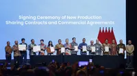 Pupuk Indonesia Bakal Pakai Gas dari Blok Masela dan Andaman