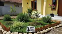 9 Desain Taman Rumah yang Efektif Mencegah Kucing Liar Berak di Halaman, Nyaman dan Anti Bau