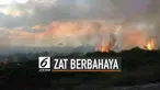 Asap dari kebakaran hutan mengandung gas dan partikel berbahaya.