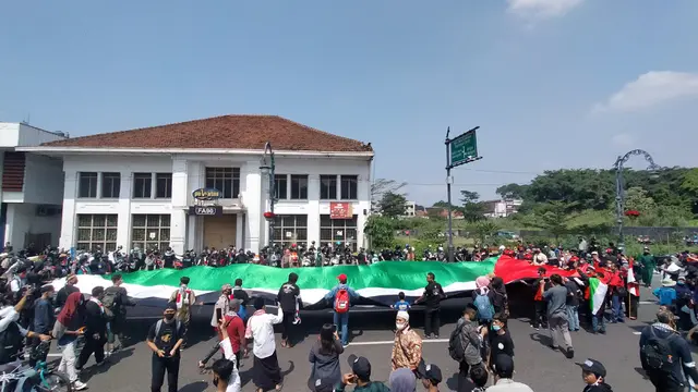 Solidaritas untuk Palestina