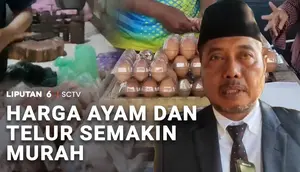 Harga Ayam dan Telur Semakin Murah