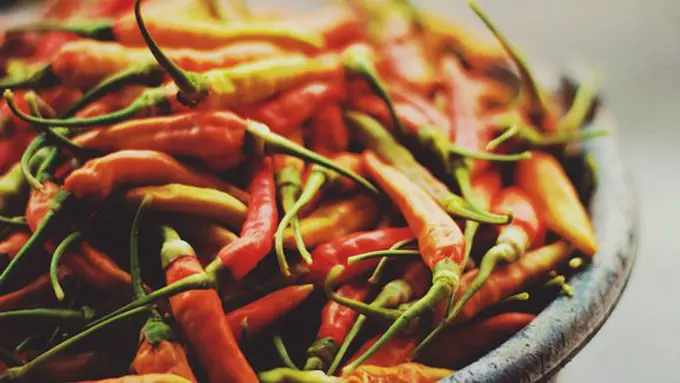 Copyright: unsplash/adi chrisworo