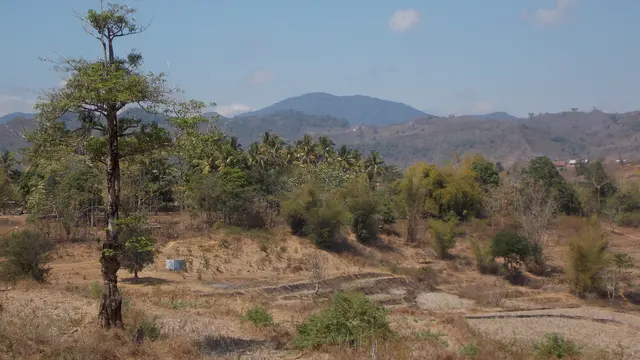 Gunung Olet Takan di Sumbawa Besar