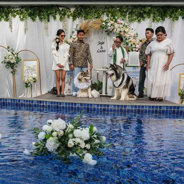8 Potret Pernikahan Anjing dengan Adat Jawa Ini Mewah Banget, Habiskan Dana Rp 200 Juta