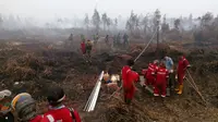 Barito Utara Ajukan Hutan Sakral Gunung Lumut Jadi Taman Nasional