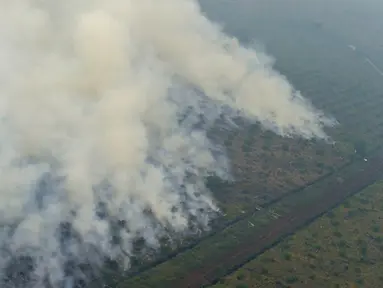 Pemandangan lahan yang terbakar dari atas helikopter di Pelalawan, Provinsi Riau, Kamis (17/9/2015). Asap dari kebakaran hutan ini mengakibatkan aktivitas warga Riau dan sekitarnya terganggu (AFP Photo/Adek Berry)