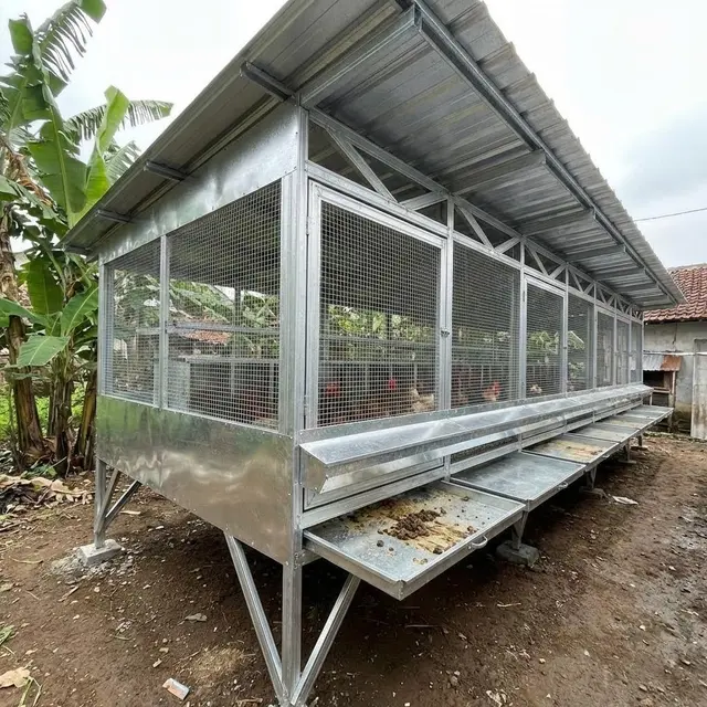 Desain Kandang Ayam Kolong dengan Tray Tarik