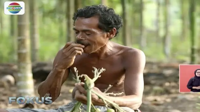 Bagi warga Papua, kegemaran mengunyah pinang, tidak hanya membuat gigi menjadi kuat, ternyata juga bisa membuat ketagihan.