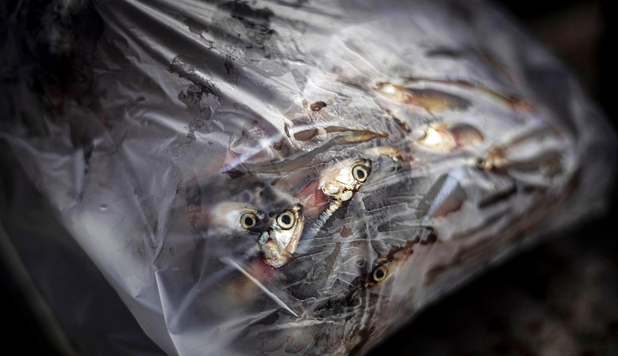 "Kami mencari ikan lebih jauh dan lebih jauh dari pantai karena ada banyak kapal di daerah itu yang mengusir ikan," kata Erwin. (AP Photo/Yusuf Wahil)