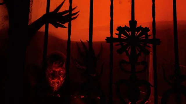 Foto ilustrasi: berbagai sumber