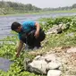Sungai Bengawan Solo tercemar limbah tekstil, ada dari alkohol ciu, batik, dan limbah ternak babi. (Liputan6.com/Ahmad Adirin)