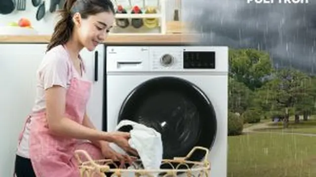 Polytron Wonderwash PFL 1105H