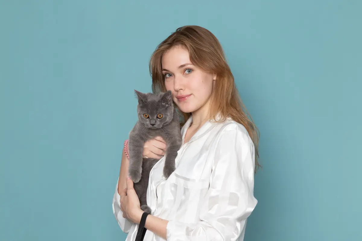 Mimpi Menggendong Kucing