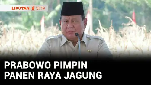  Presiden Prabowo Pimpin Panen Raya Jagung Serentak di Bengkayang Kalbar