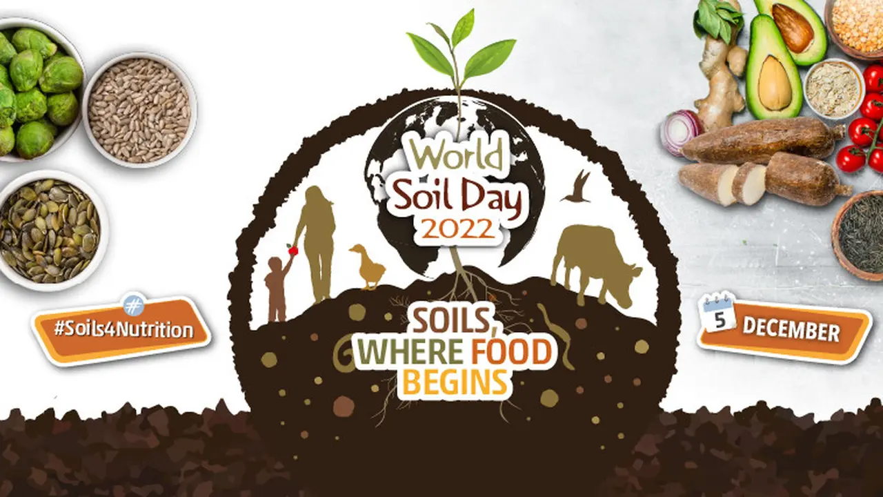 Sumber: Food and Agriculture Organization of the United Nations