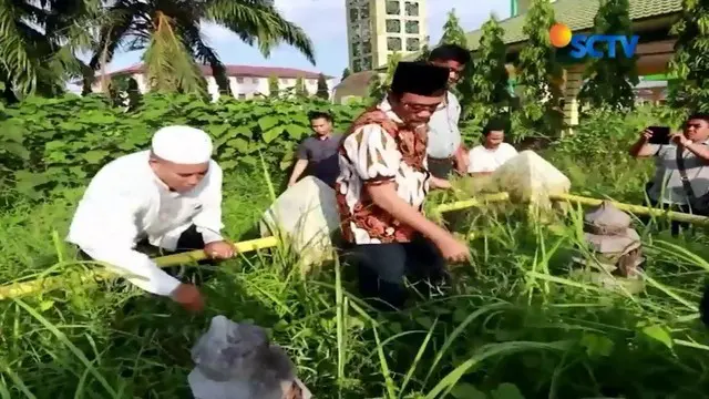 Hargai leluhur, Cagub Sumut Djarot Saiful Hidayat lakukan ziarah dan cabuti rumput di makam leluhur Kesultanan Asahan.