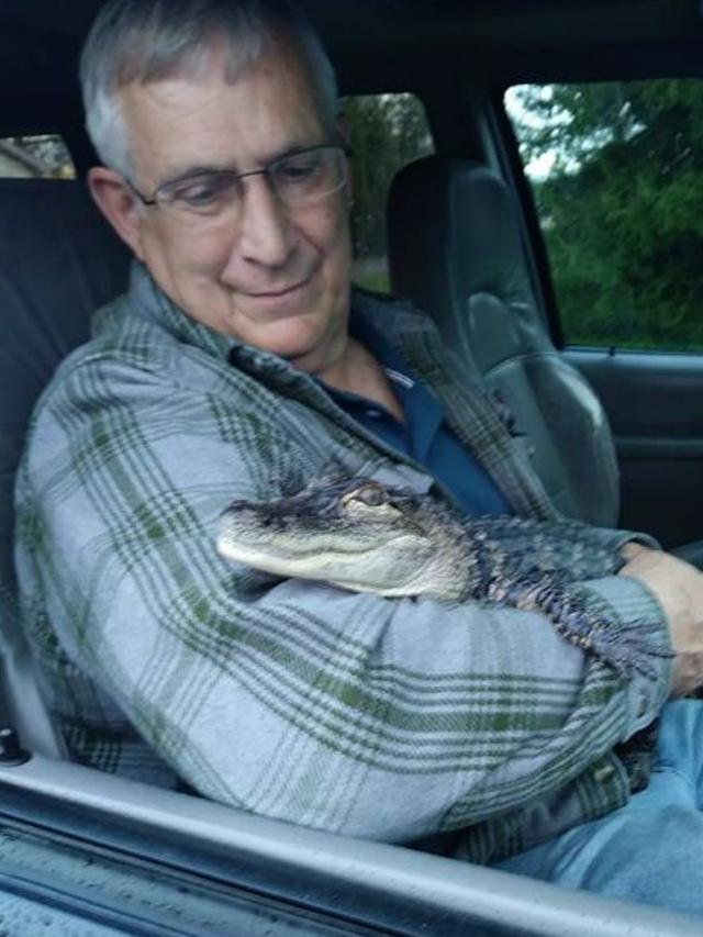 Tak Biasa, Pria Ini Pelihara Buaya untuk Tangani Depresinya