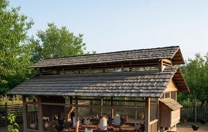 Model Kandang Ayam Semi Umbaran Biar Ayam Lebih Sehat dan Cepat Besar (AI)