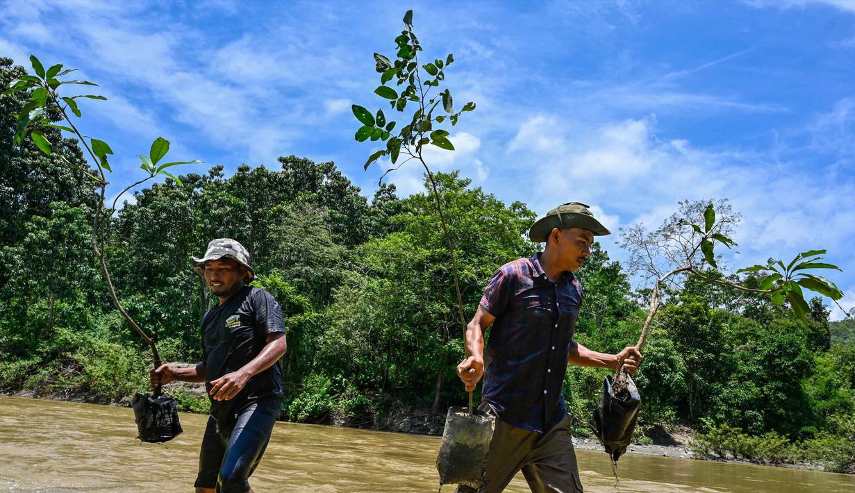Mengusung tema global "Kekuatan Kita, Planet Kita" (Our Power, Our Planet), berbagai elemen masyarakat dan pemerintah daerah turun tangan untuk menyuarakan perlindungan terhadap ekosistem lokal. Tampak dalam foto, orang-orang membawa pohon menyeberangi sungai untuk ditanam di jalur hutan dalam rangka memperingati Hari Bumi di Jantho, Provinsi Aceh, pada Rabu 22 April 2026. (CHAIDEER MAHYUDDIN/AFP)