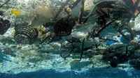 Potret sampah plastik di lautan (AFP)