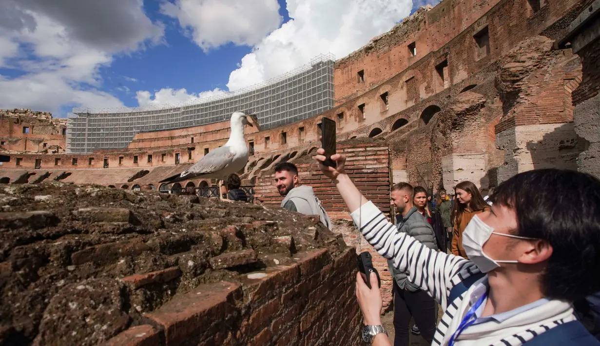 Wisatawan mengambil gambar burung camar saat mengunjungi Colosseum di Roma, Sabtu (7/3/2020). Italia menjadi negara Eropa dengan kasus virus corona (COVID-19) tertinggi sehingga kondisi itu membuat sejumlah destinasi wisata semakin dijauhkan oleh pengunjung. (AP Photo/Andrew Medichini)