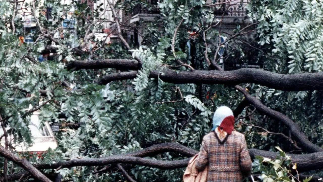 Seorang perempuan mendapati jalan tertutup pohon tumbang di London 16 Oktober 1987. Pada tahun ini, peringatan 30 tahun Badai Ophelia diperkirakan akan kembali menghantam Irlandia dan Azores (AP)
