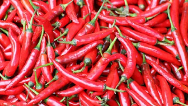 Ilustrasi cabai (iStock)