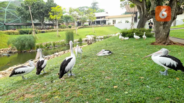 Saatnya Beralih ke Regenerative Tourism, Berwisata Sambil Healing dan Mengasah Kepedulian Lingkungan