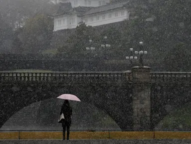 Kota Tokyo dilanda hujan salju pada bulan November untuk pertama kali dalam 54 tahun terakhir, Jepang, Kamis (24/11). Salju yang turun cukup deras memperlambat aktivitas warga Tokyo pada jam-jam sibuk. (REUTERS / Toru Hanai)