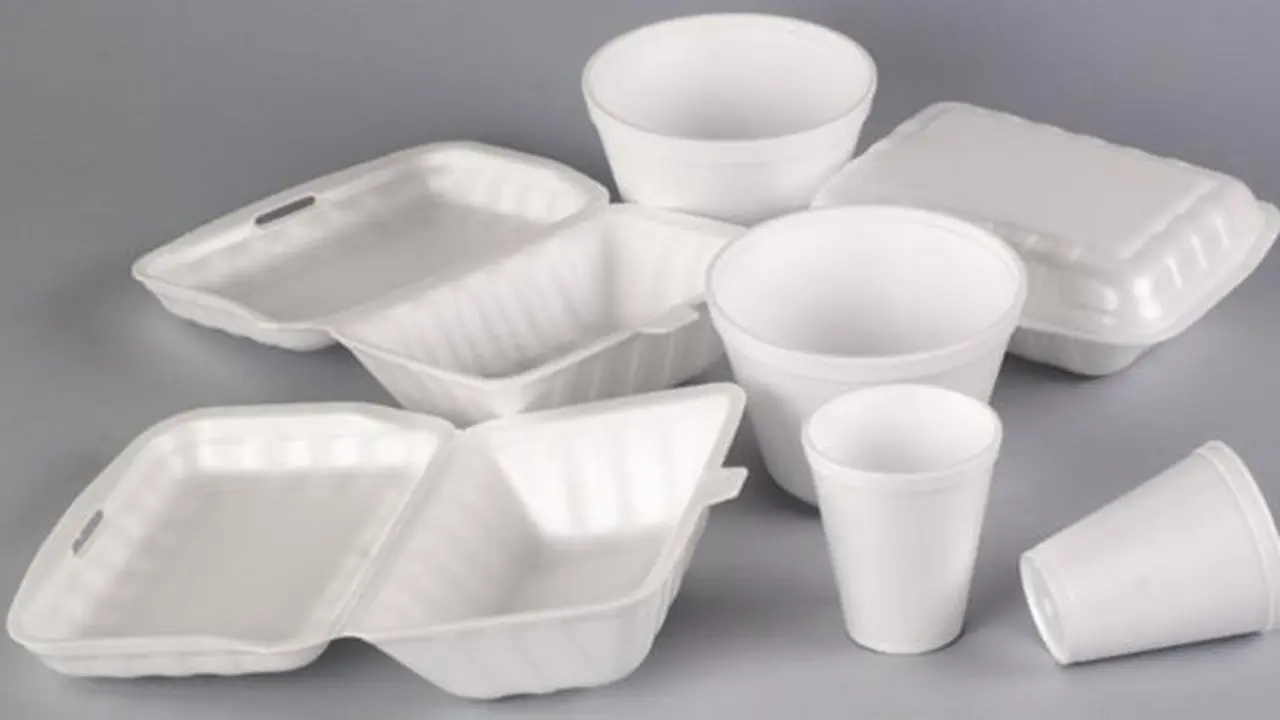 Kemasan styrofoam./Copyright cvsan.org