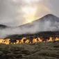 Gunung berapi Fagradalsfjall di Islandia pada 10 Juli 2023. (AP/Marco Di Marco)