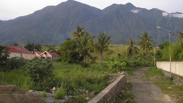 Dereta Pegunungan Cycloop di Papua