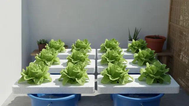 Model Kebun Mini untuk Hemat Belanja. Gemini