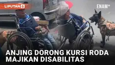 Bagi manusia, kesetiaan adalah nilai menempel pada anjing. Tak hanya soal menjaga rumah, anjing juga peka terhadap kondisi majikan. Seperti aksi viral anjing berikut ini yang dibagikan akun TikTok @brendabriones9. Seekor anjing terekam mendorong kurs...