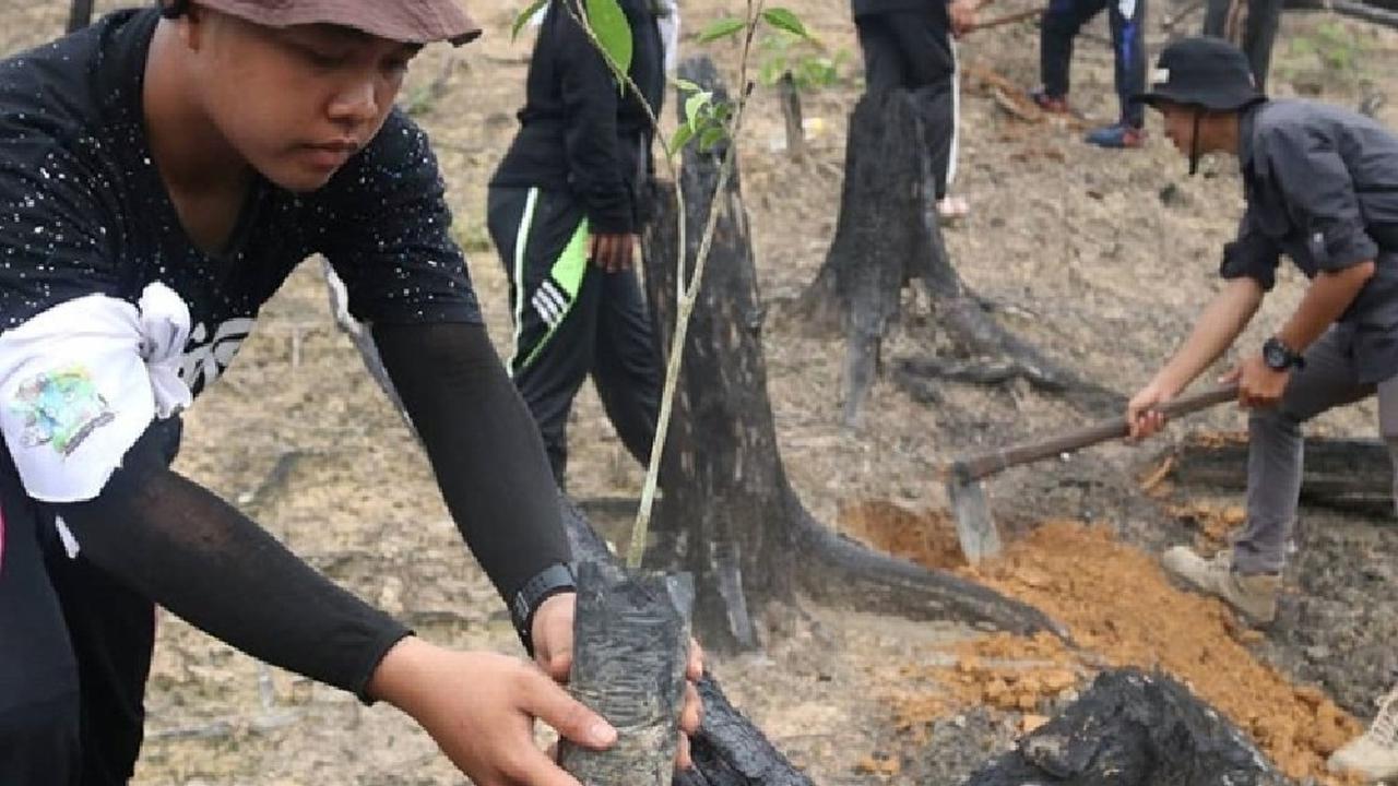 Tanam Pohon di Hutan Harapan