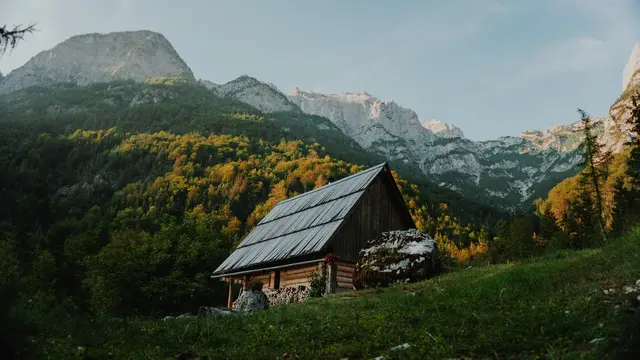 Ilustrasi kabin di tengah hutan menjadi pilihan akomodasi bagi wisatawan yang mencari pengalaman wellness tourism.