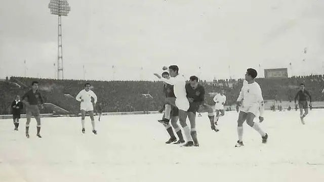 Partizan