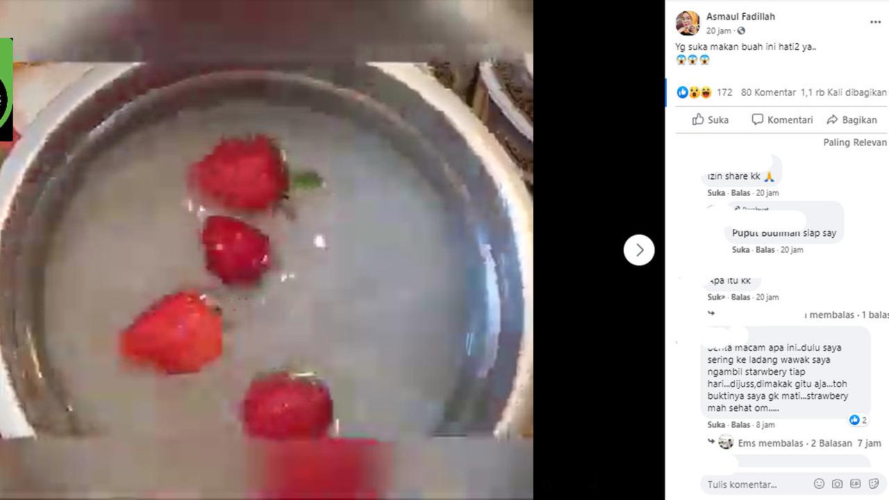Penelusuran Klaim Serangga Muncul Dari Stroberi yang Direndam Air Garam