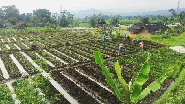 Kampung Budaya Pandan Wangi, Cianjur
