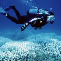 Bumi buruk rupa, potret ini buktikan kalau perubahan iklim jadi penyebabnya.